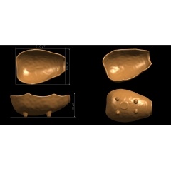 Melamine Tableware Mould