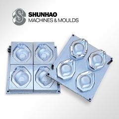 Melamine Tableware Mould